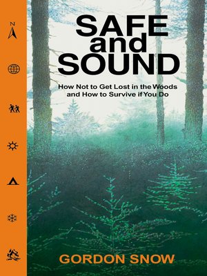 cover image of Safe and Sound